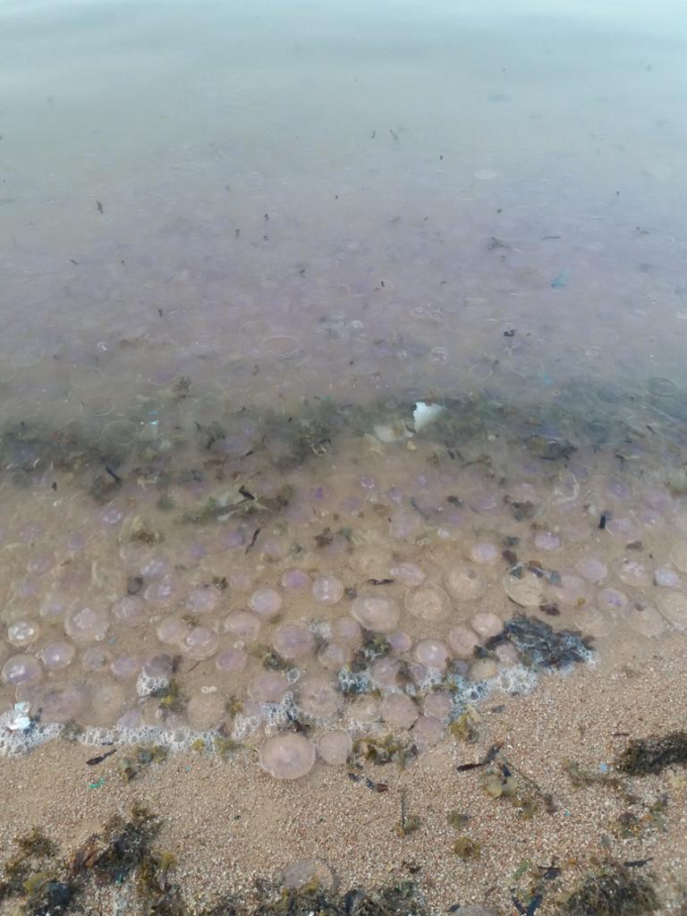 Royal Star Beach
