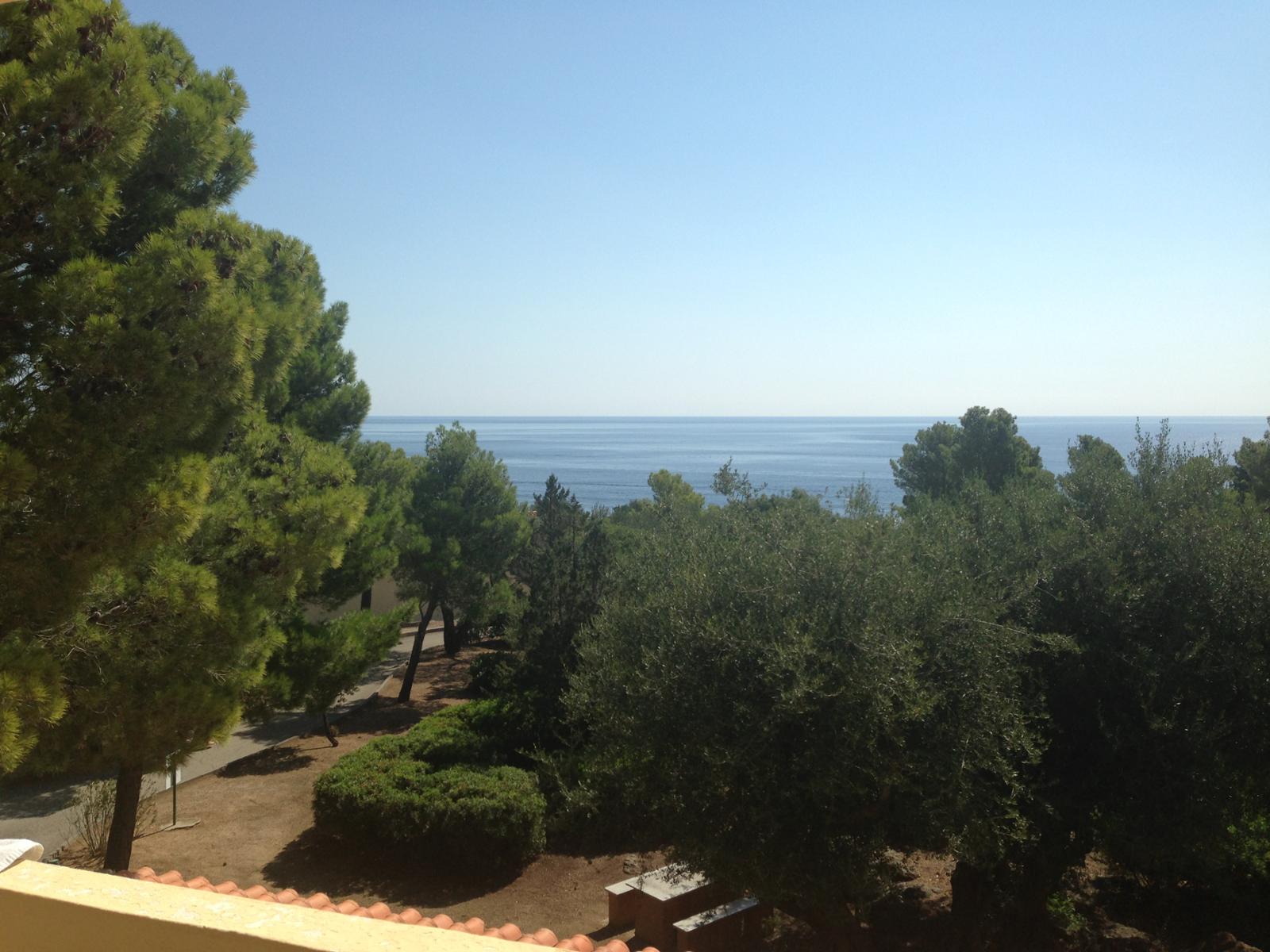 Hotel Palmasera