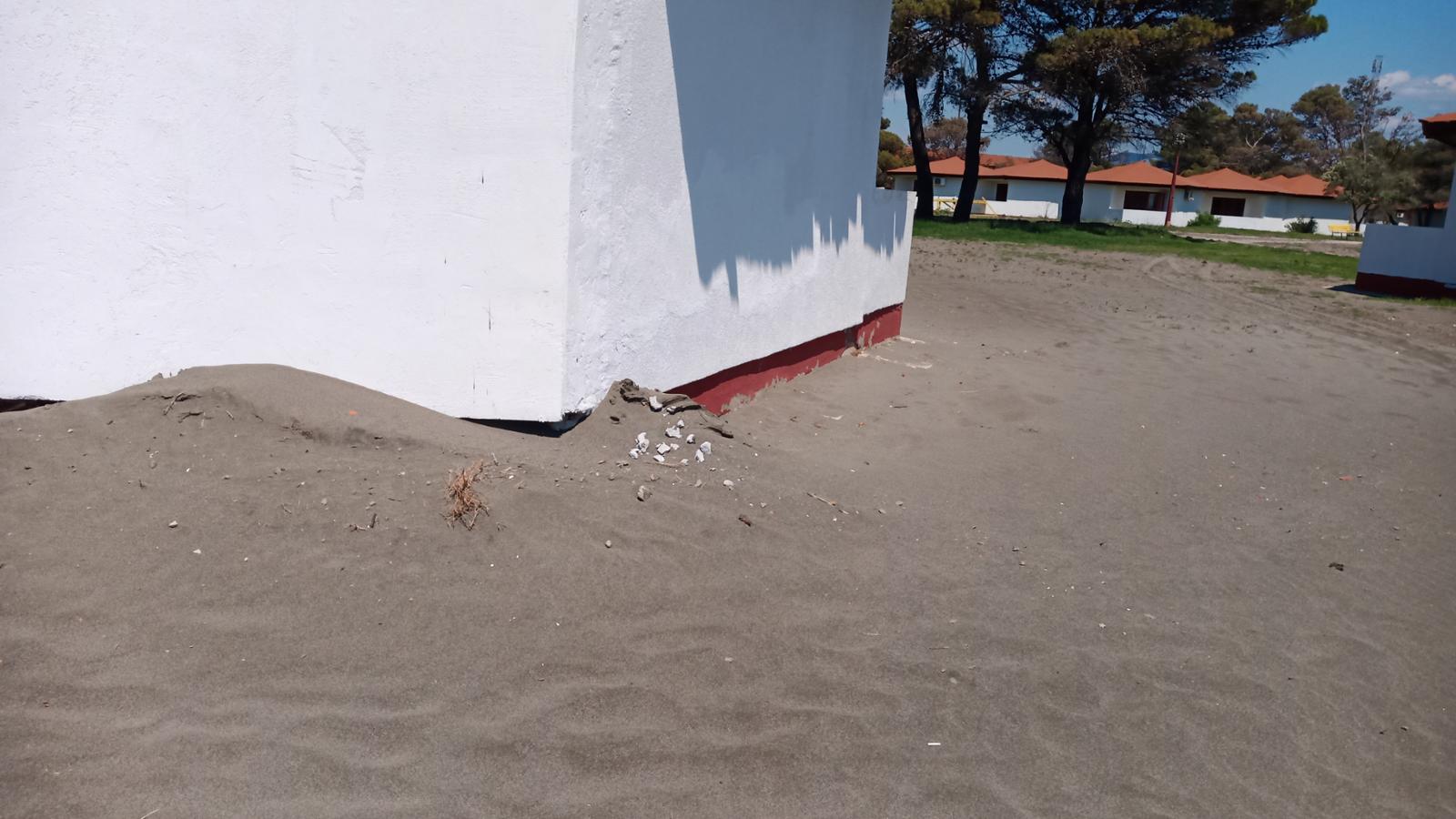 ADA Bojana 06.2021