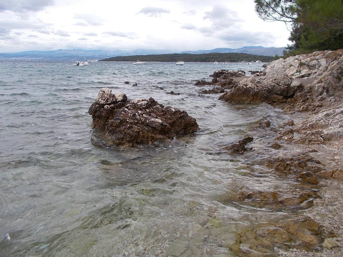 hodnocení