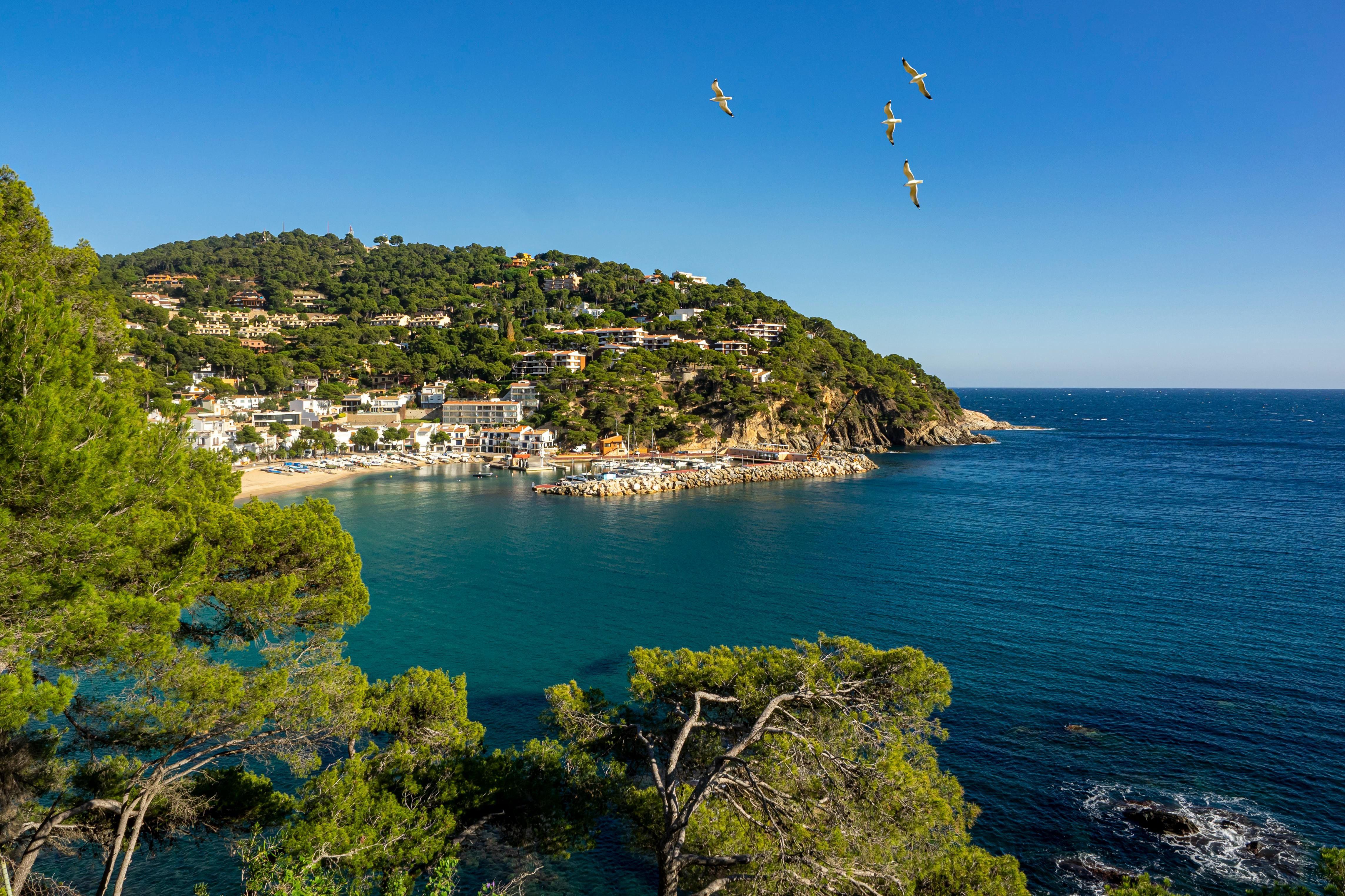 Pohled na malebnou zátoku s letoviskem obklopeným hustými zelenými lesy na pobřeží Costa Brava ve Španělsku, kde se setkává modré moře a jasná obloha s letícími ptáky.