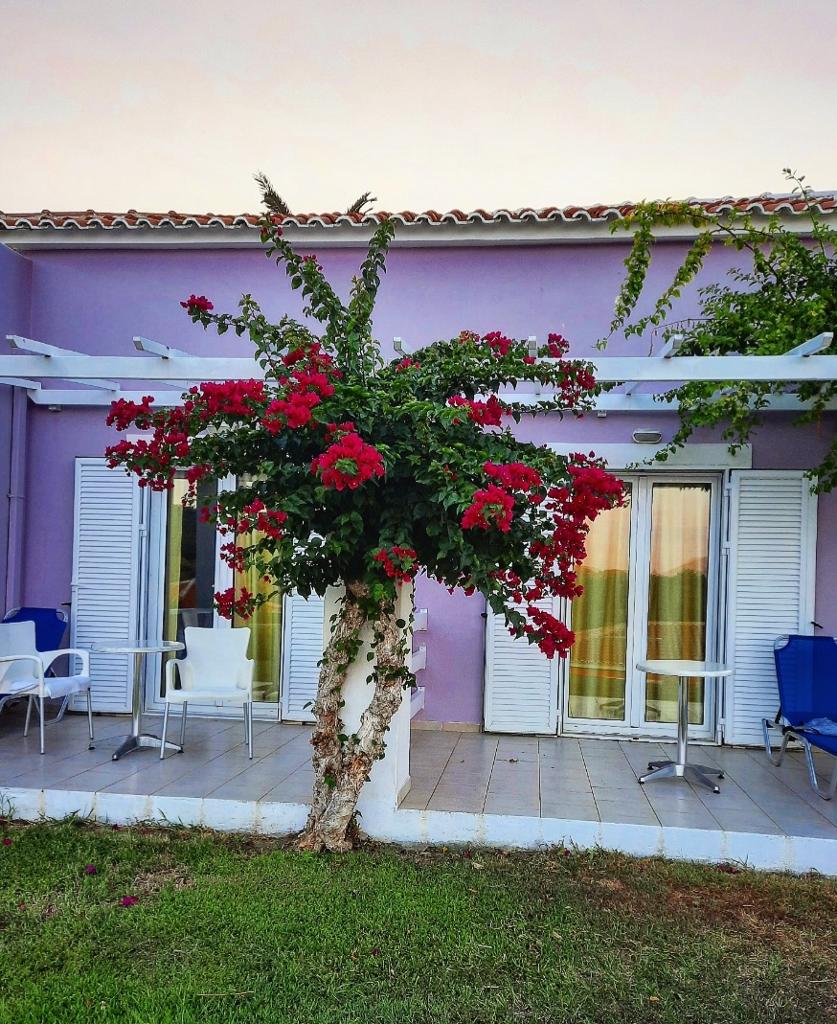 Samos hotel Arion
