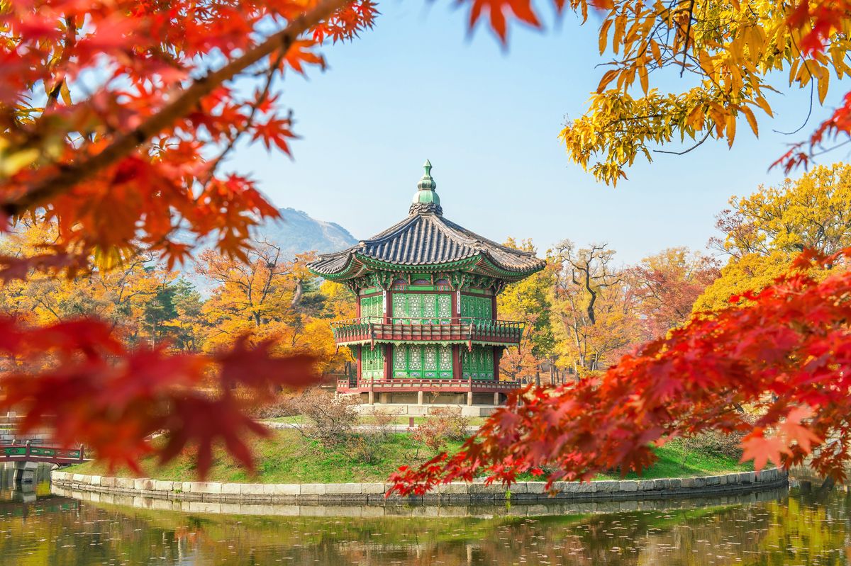 Pavilon Hyangwonjeong uprostřed podzimní zahrady v&nbsp;paláci Gyeongbokgung, obklopený barevným listím javorů.