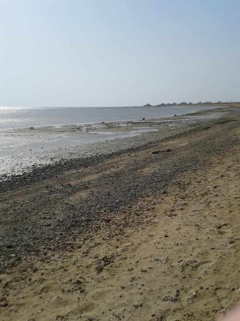 Hodnocení