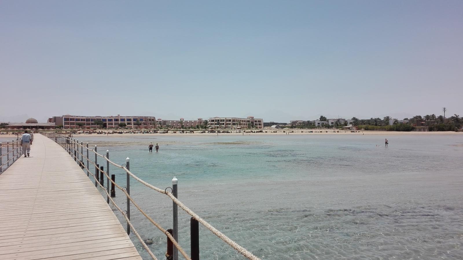 Egypt-Jasmine