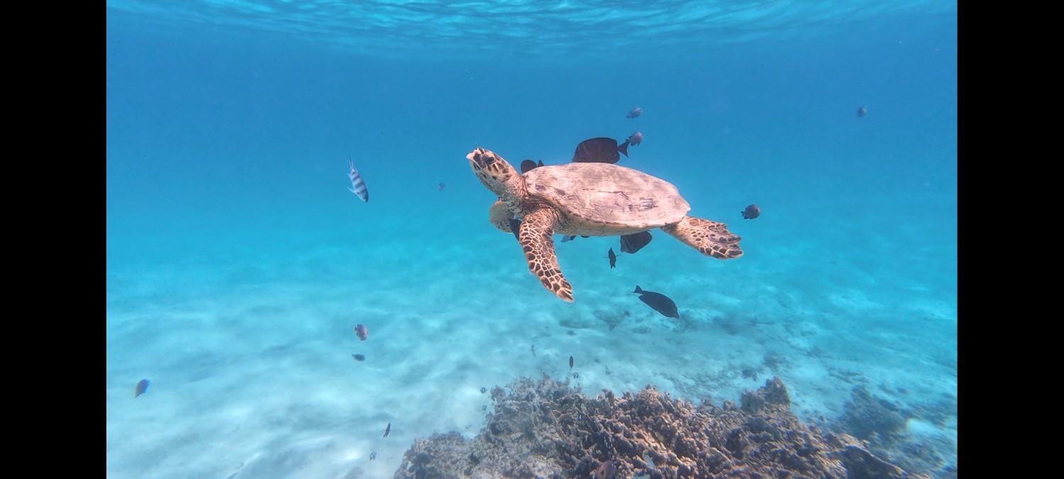 Dream lagoon s rodinou