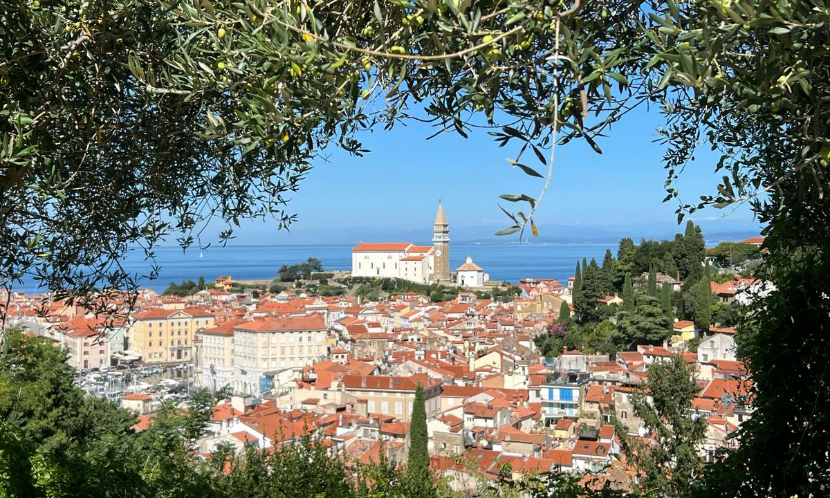Historické prímorské mestečko Piran s úzkymi uličkami a prístavom pri Jadranskom mori