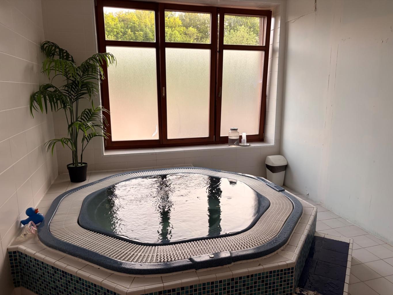 Wellness