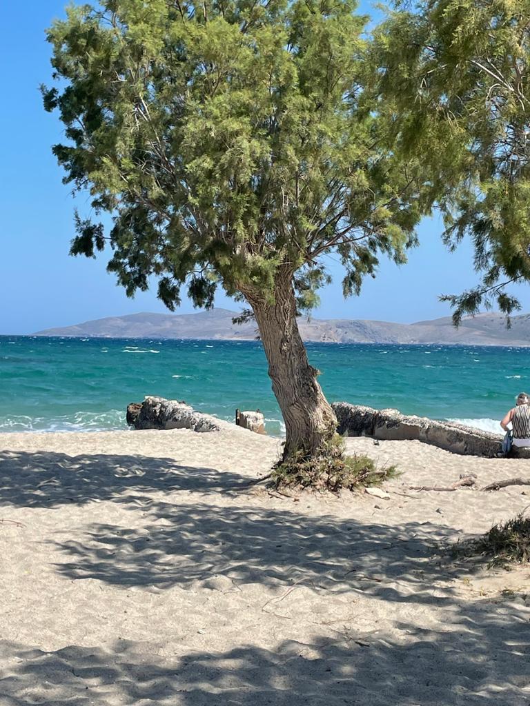 Marebello bech Kos
