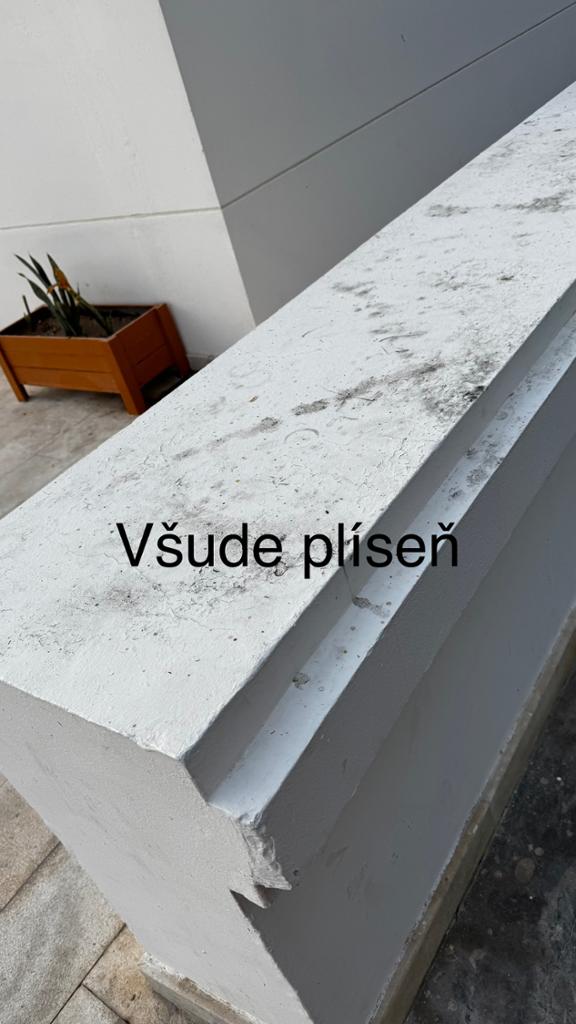 Všude přítomná plíseň