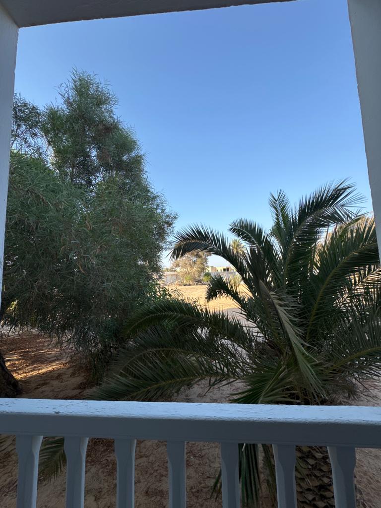 Calimera 