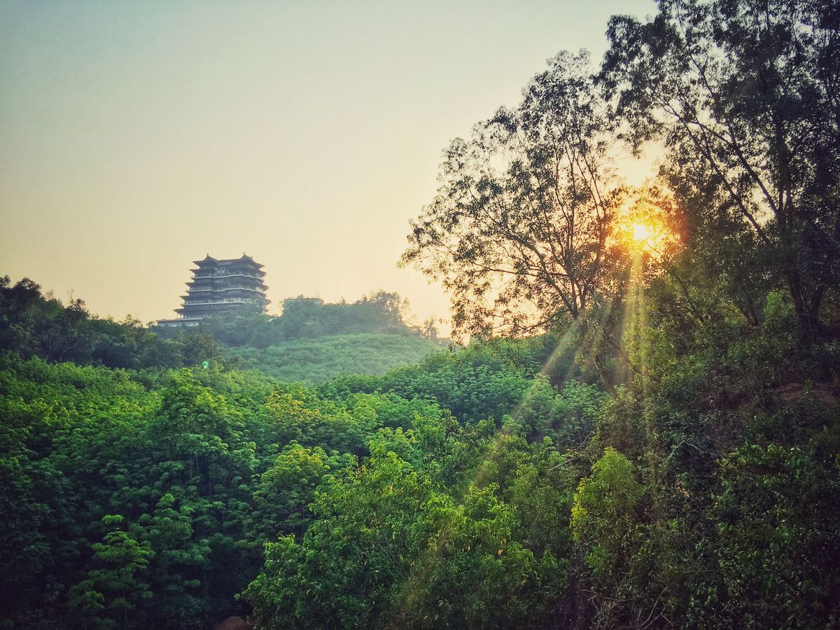 Pagoda se tyčí nad hustým lesem na ostrově Hainan při západu slunce.