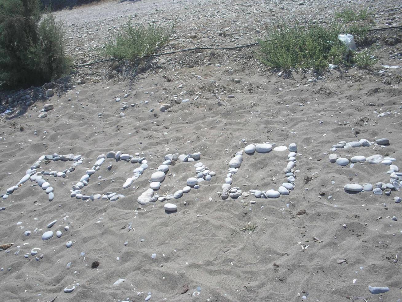 Letní sen :-)