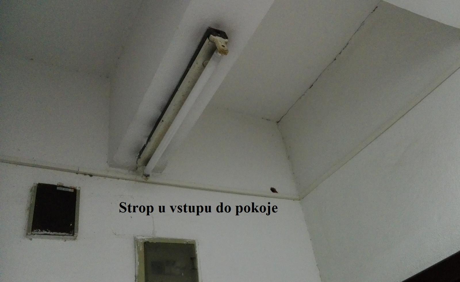 Ze začátku děs