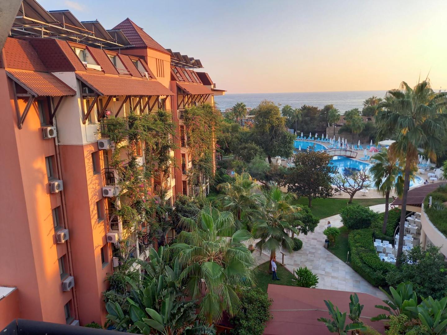 Palmeras Beach hotel 