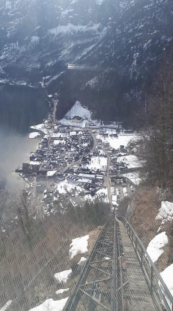 Lyžování 2019