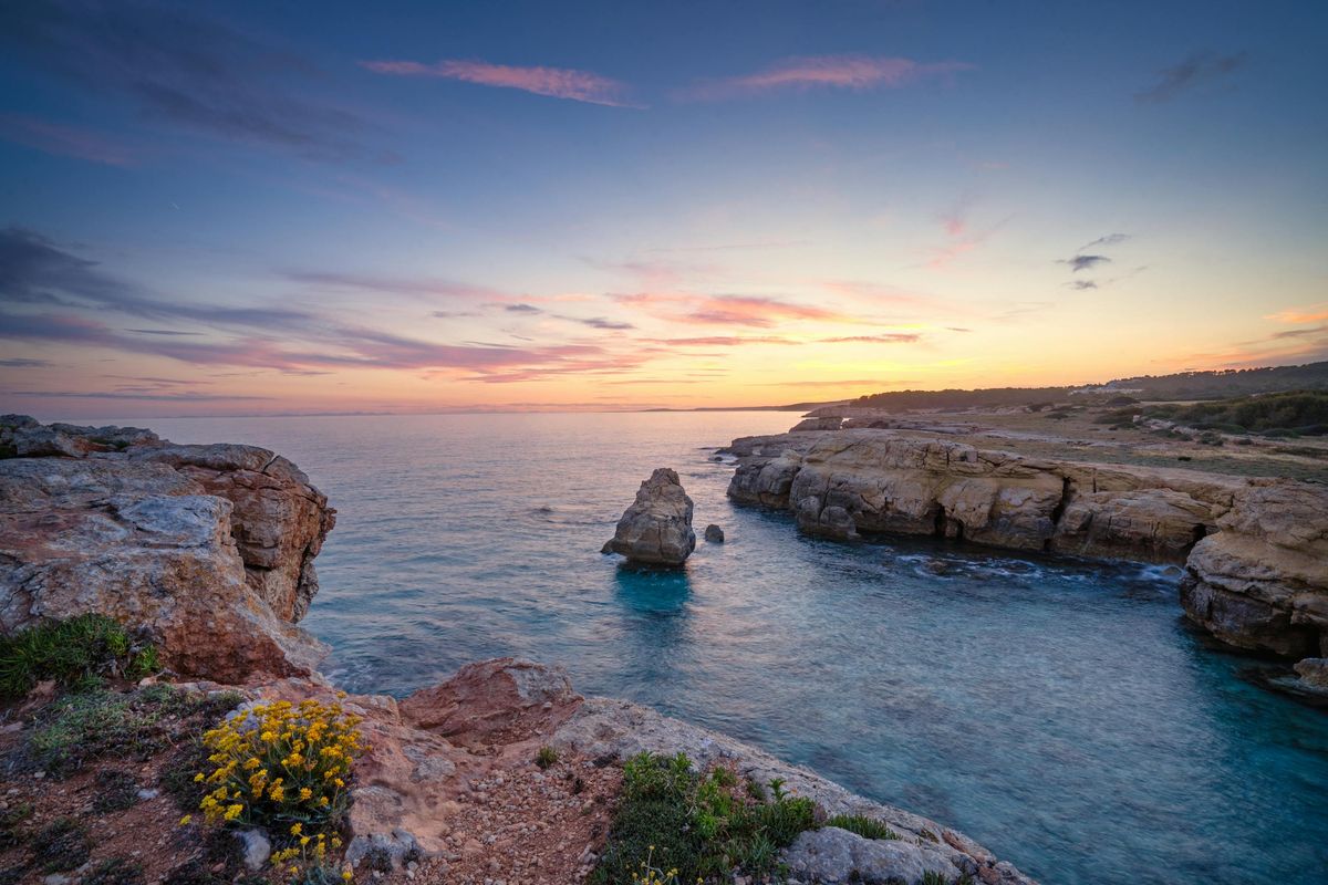 Skalnaté pobřeží na ostrově Menorca při západu slunce s viditelnými útesy a květinami v popředí.