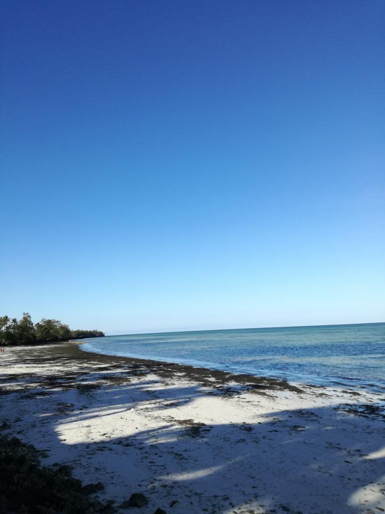 Jumbo Zanzibar