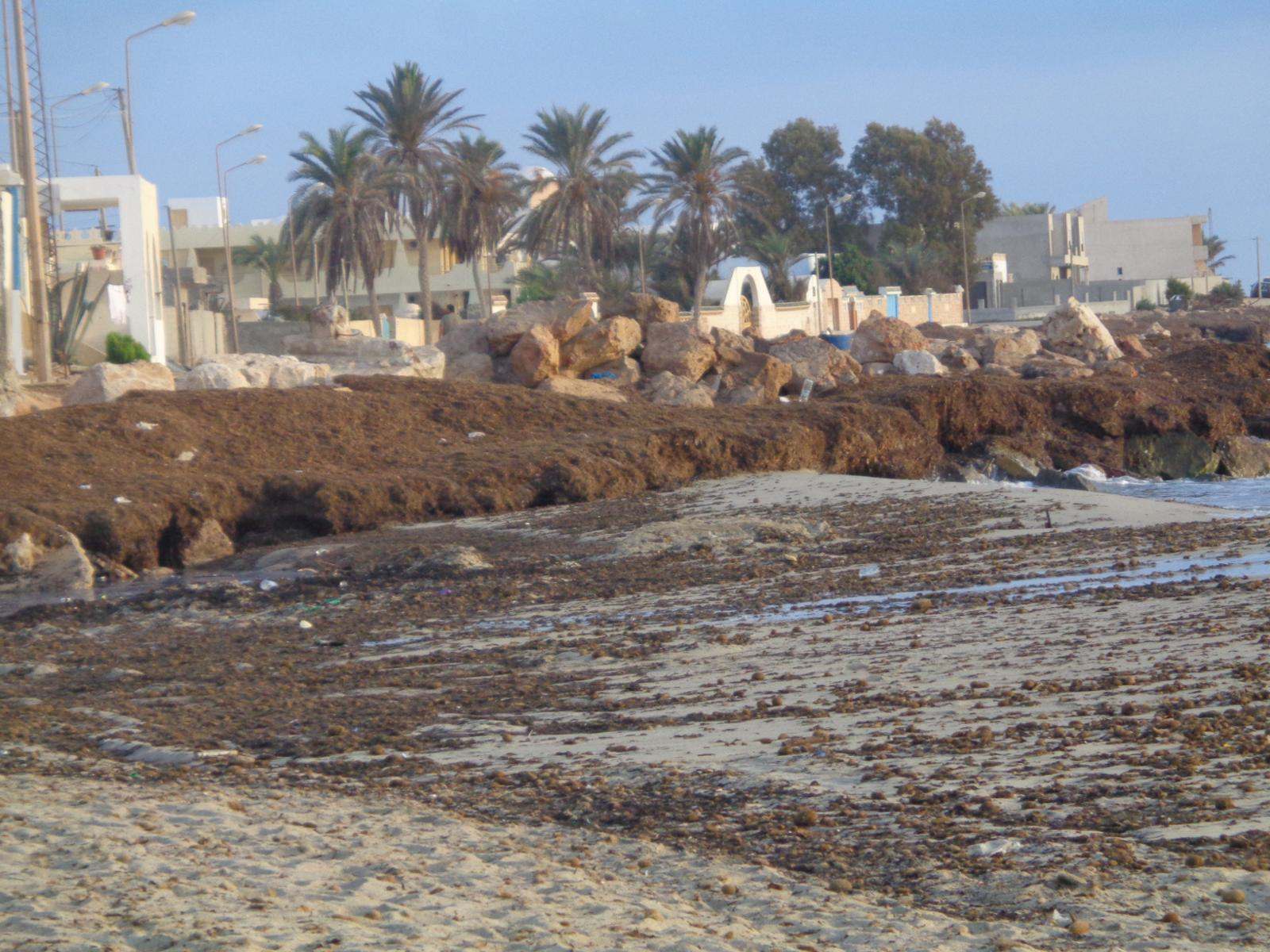 TUNISKO ZITA BEACH RESORT