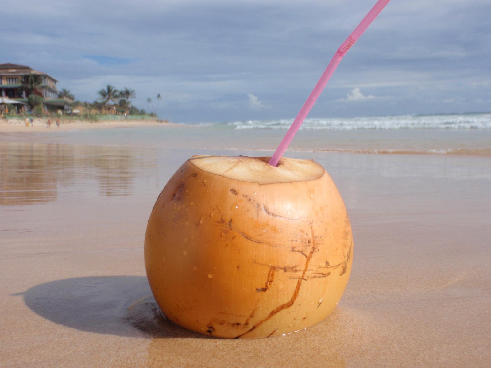 Skvelá Sri lanka