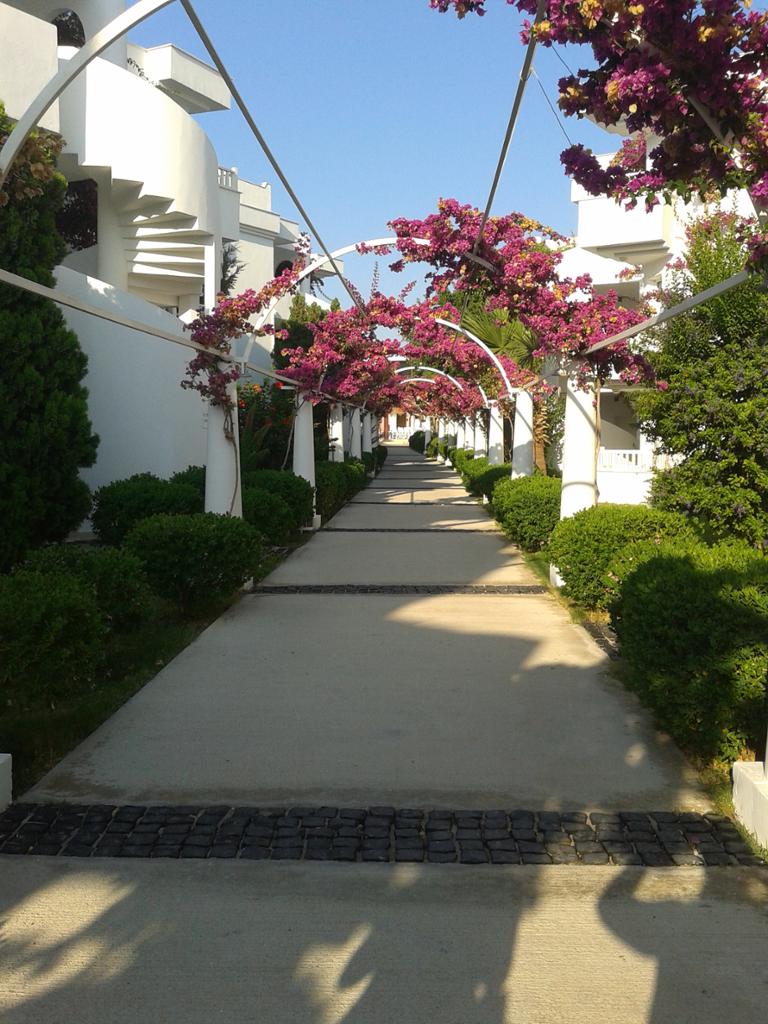 hotel bendis beach
