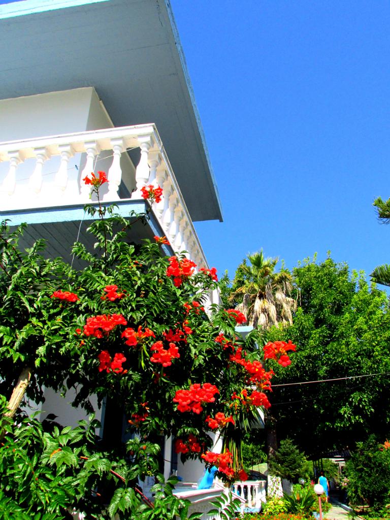 Vila Sakis - Parga