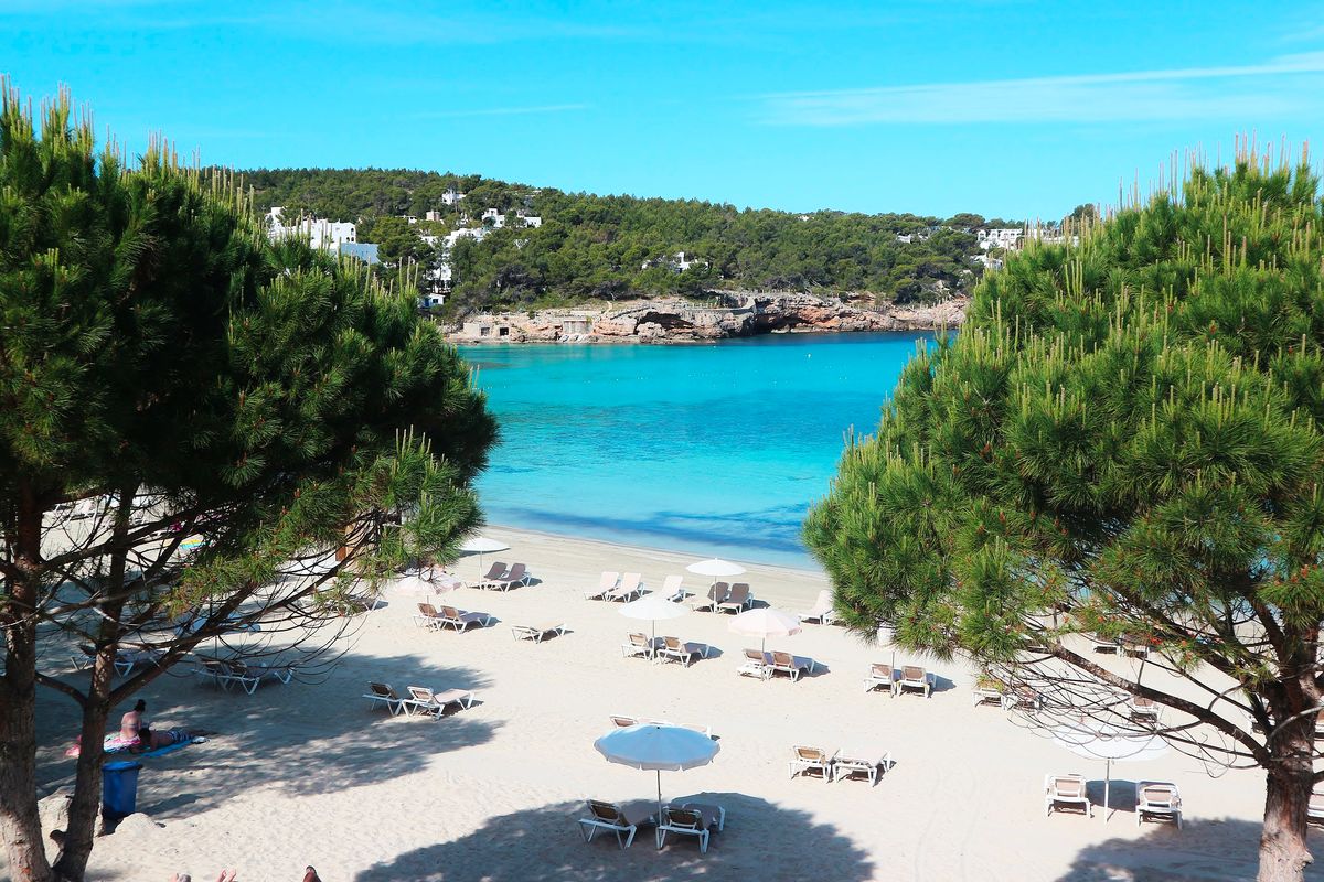 Pláž obklopená zelení s lehátky a slunečníky u tyrkysově modrého moře na ostrově Ibiza.
