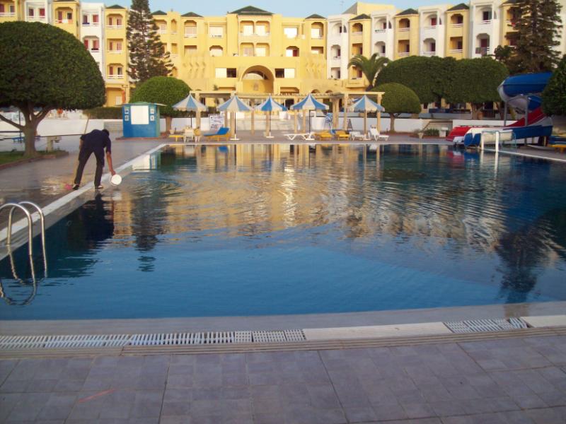 Thapsus 
