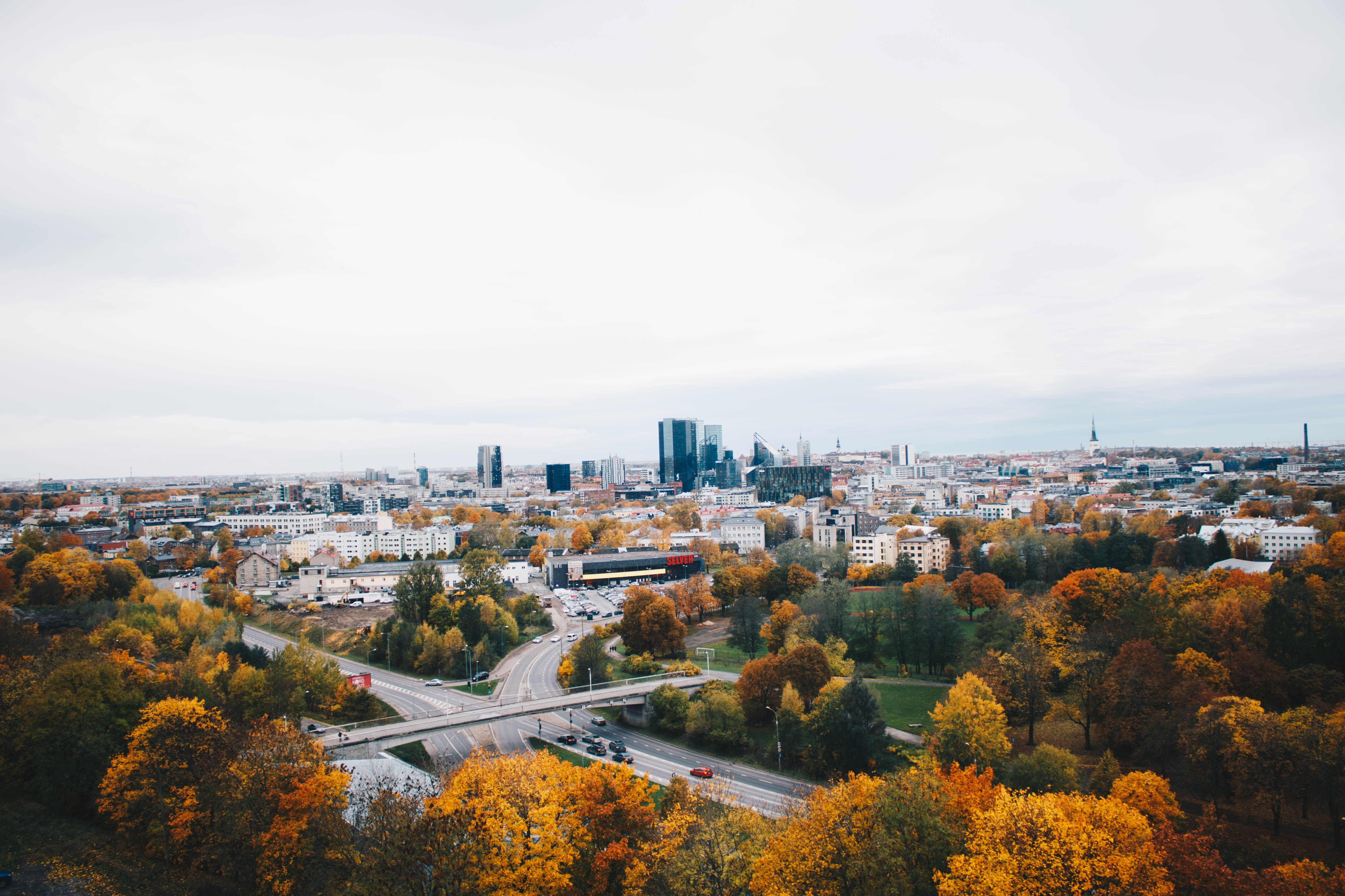 Pohled na centrum Tallinnu s&nbsp;podzimními barvami v&nbsp;popředí a&nbsp;moderními výškovými budovami na pozadí.