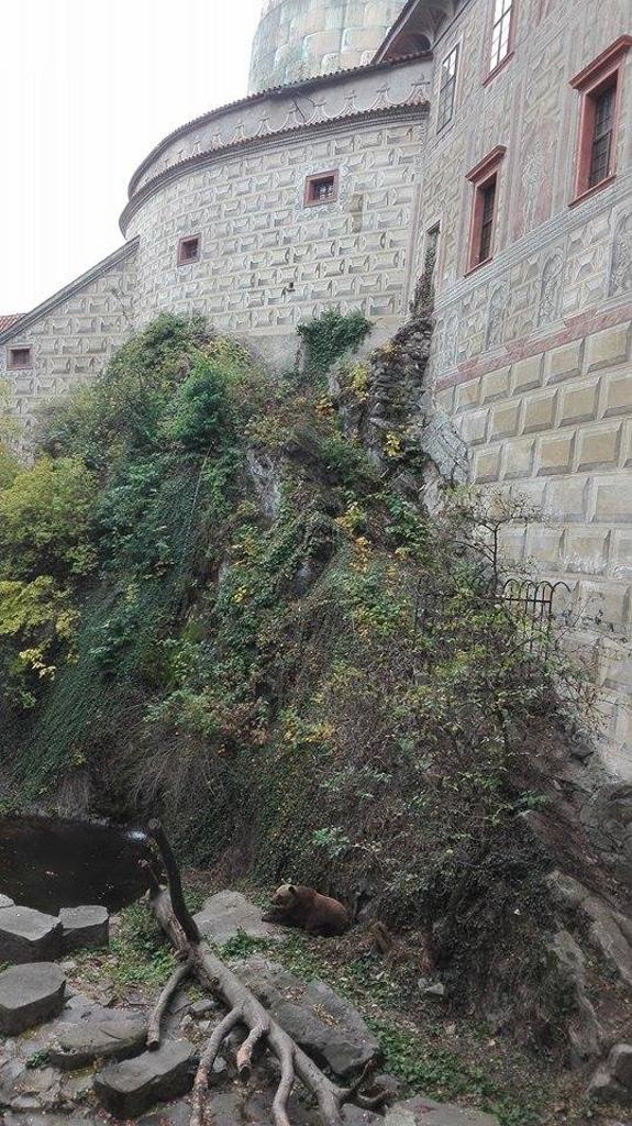 Penzion Prelát  - Český Krumlov