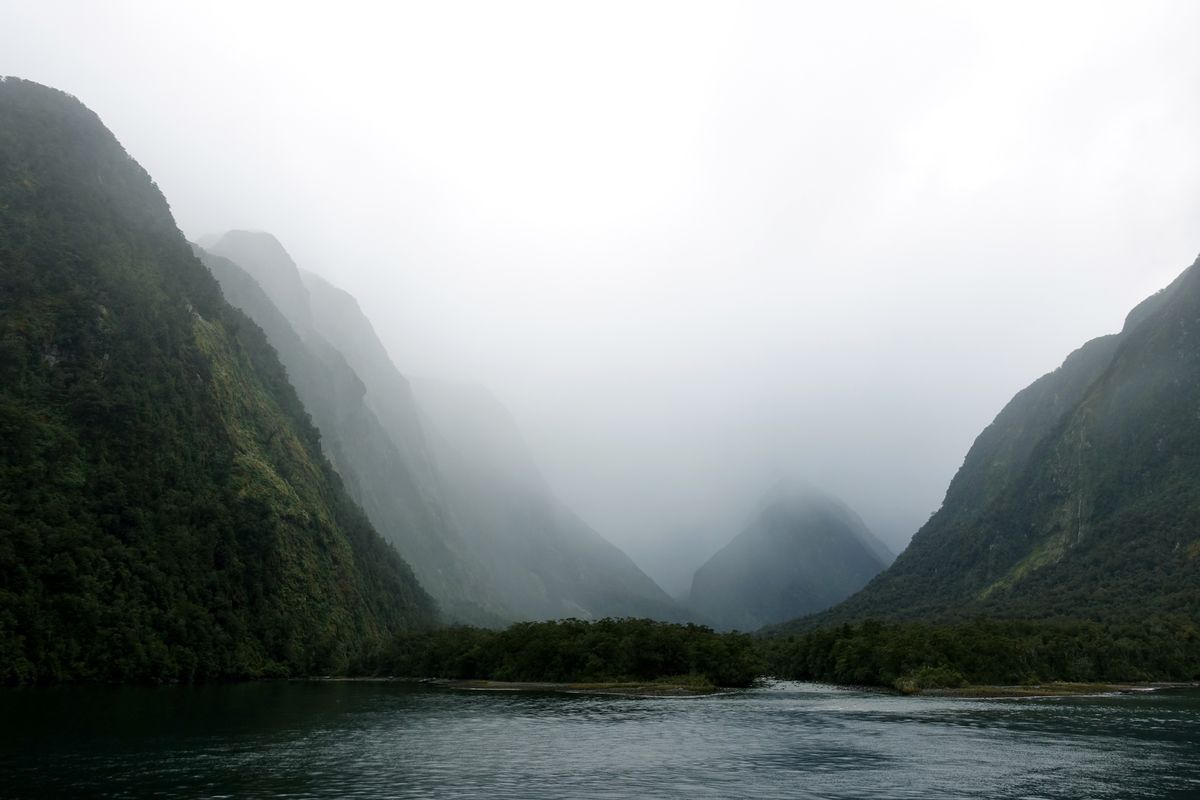 Mlhavé údolí fjordu Milford Sound, obklopené strmými zalesněnými svahy, s&nbsp;vodní hladinou v&nbsp;popředí.
