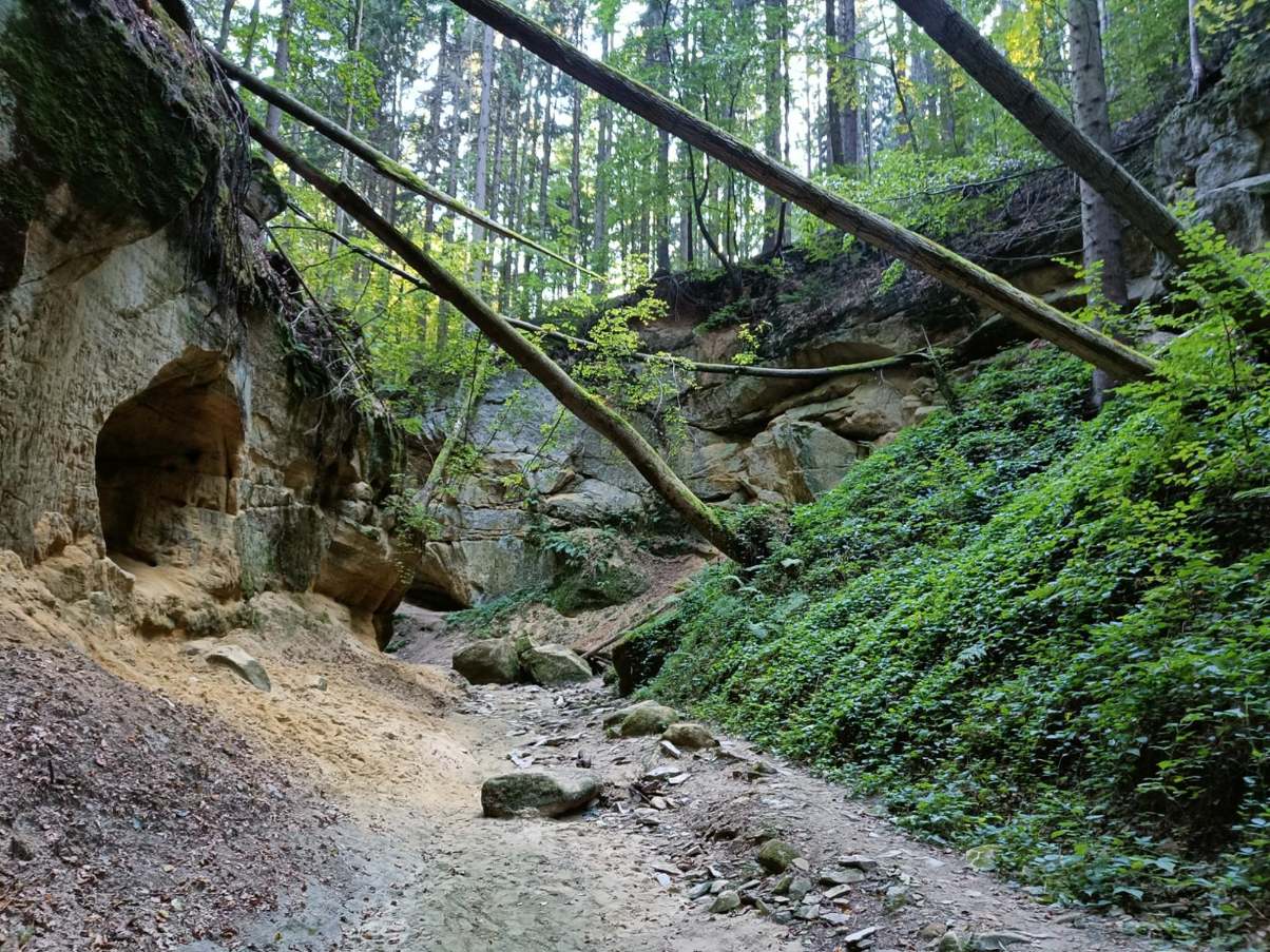 Doporučení