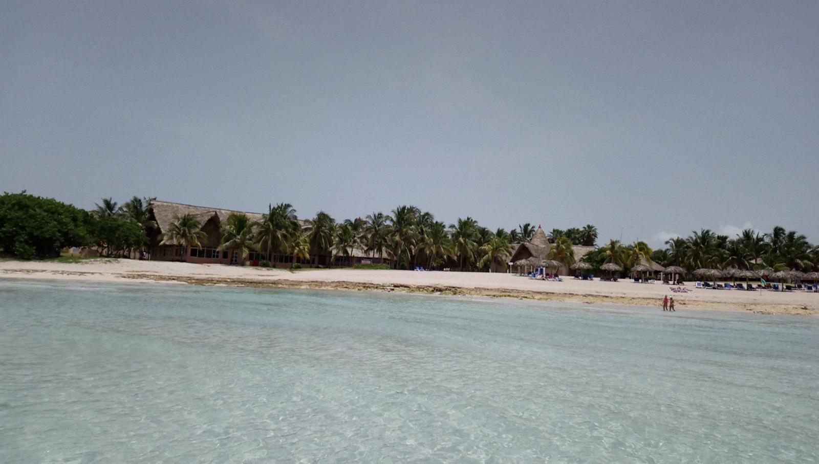 Naviti