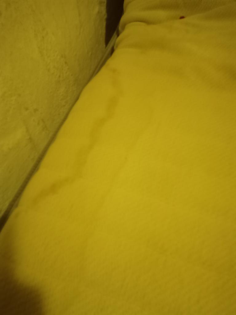 Plíseň a smdar zatuchliny 