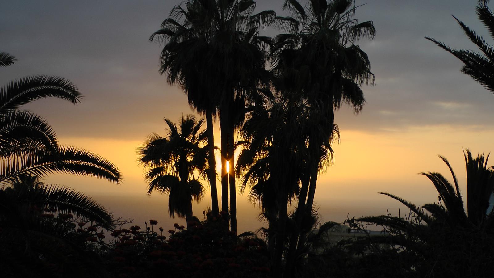Tenerife 05 2015