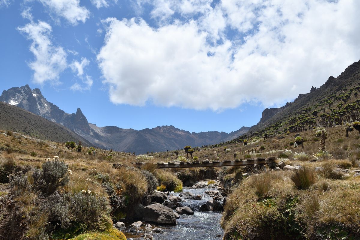 Panoramatický pohled na horský potok protékající krajinou před majestátnými vrcholy Mount Kenya, obklopený travnatými planinami a&nbsp;horskou vegetací.