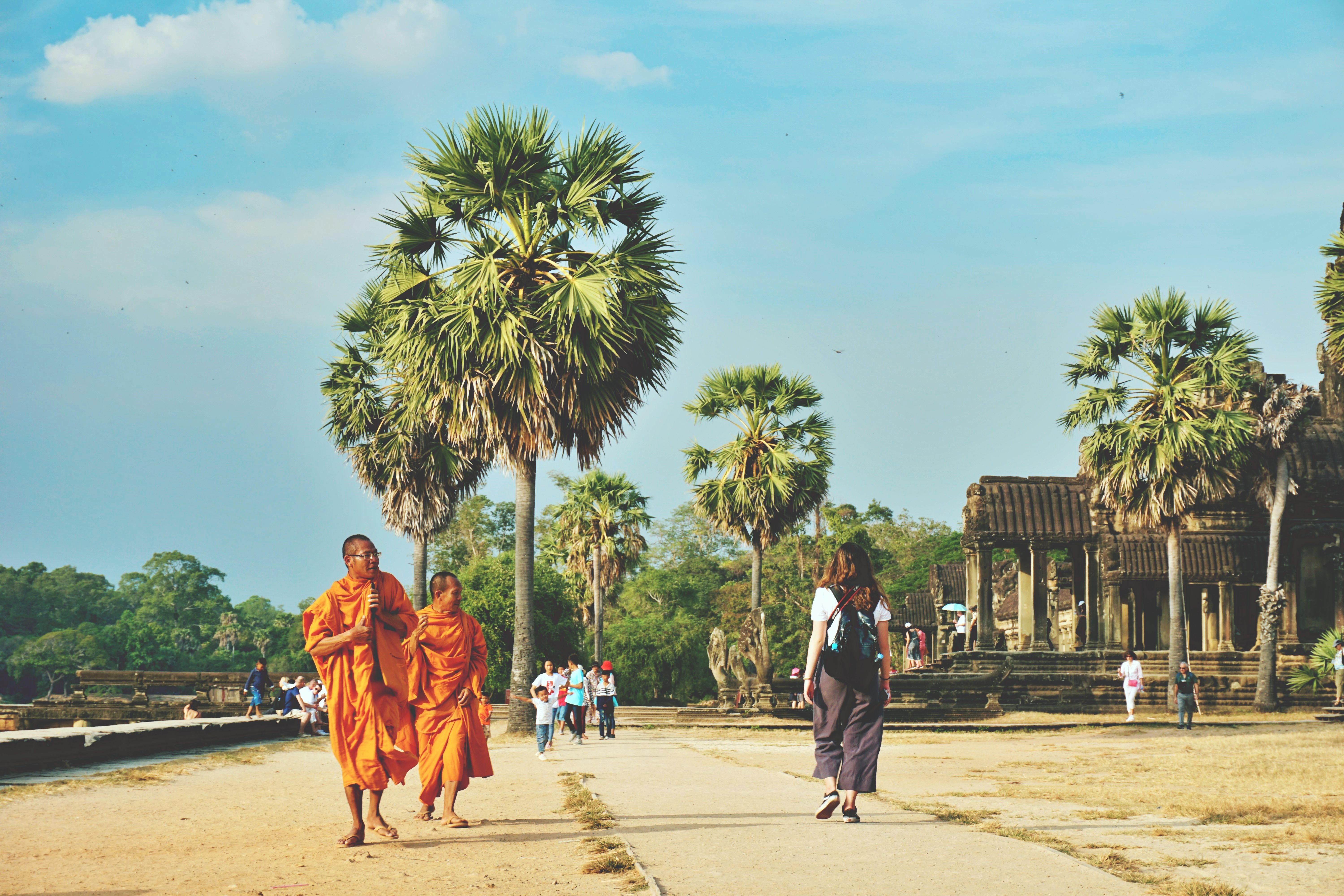 Mniši v&nbsp;oranžových rouchách kráčejí po cestě v&nbsp;komplexu chrámů Angkor Wat obklopeni palmami a&nbsp;dalšími návštěvníky.