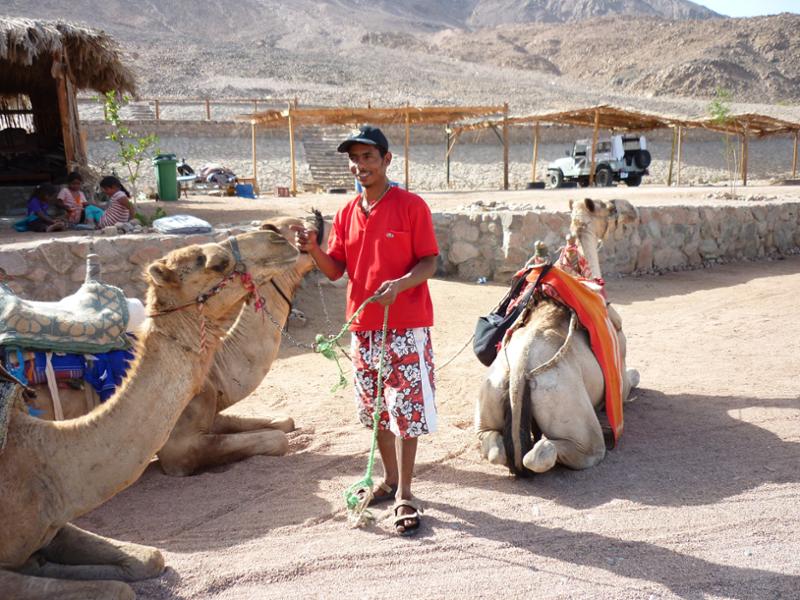 Egypt a pohoda