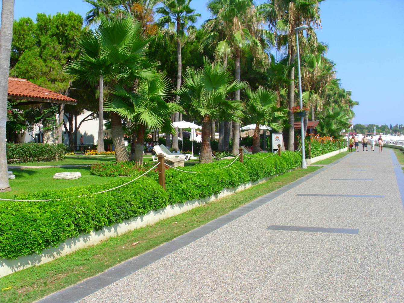 Dobrá dovča .
