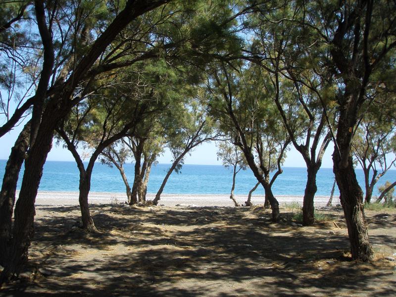 první recenze na hotel Ampelia Beach