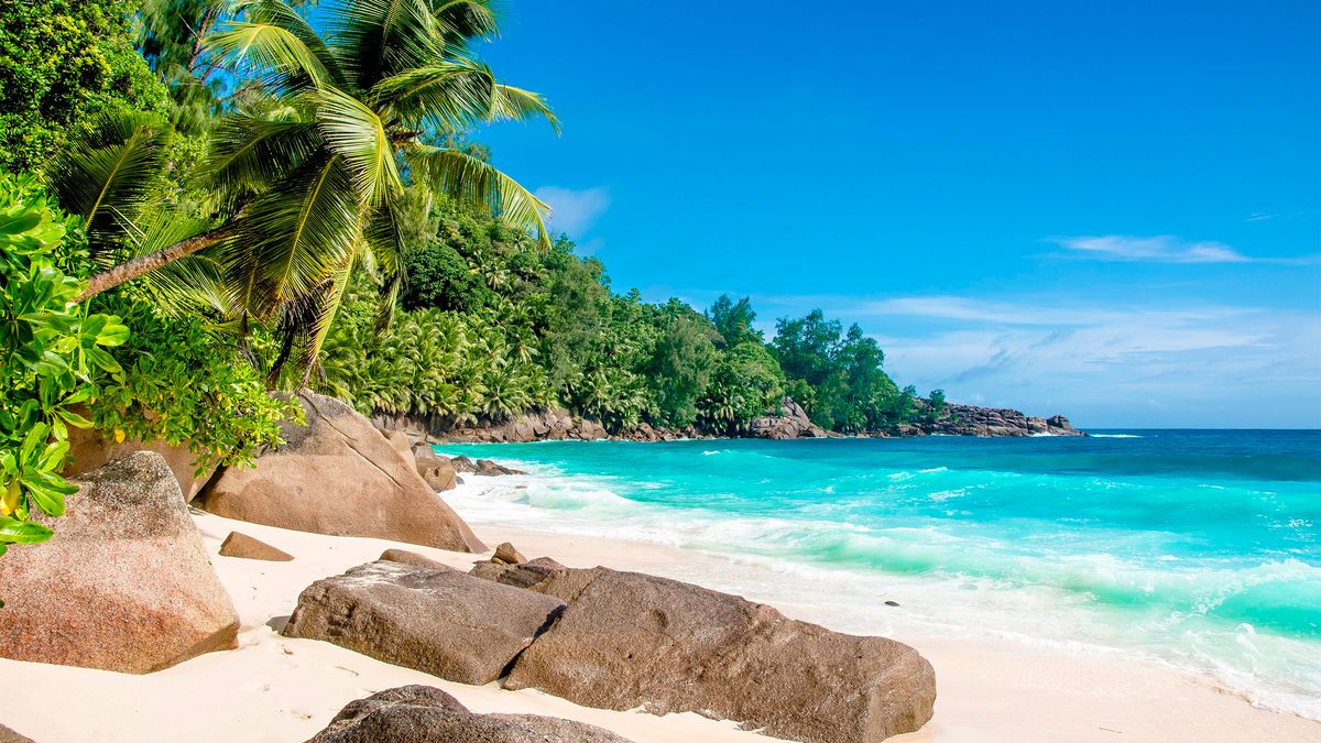 Tropická pláž s bílým pískem, palmami a průzračnou vodou Indického oceánu na Seychelách.
