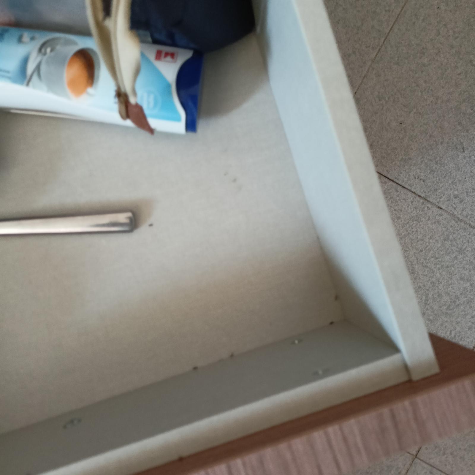 Eli hotel