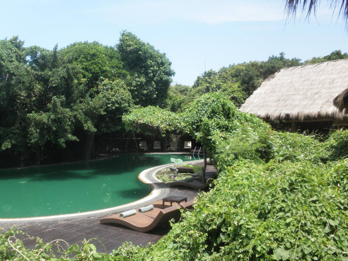 Prohlídka hotelu Jungle Beach Resort ****