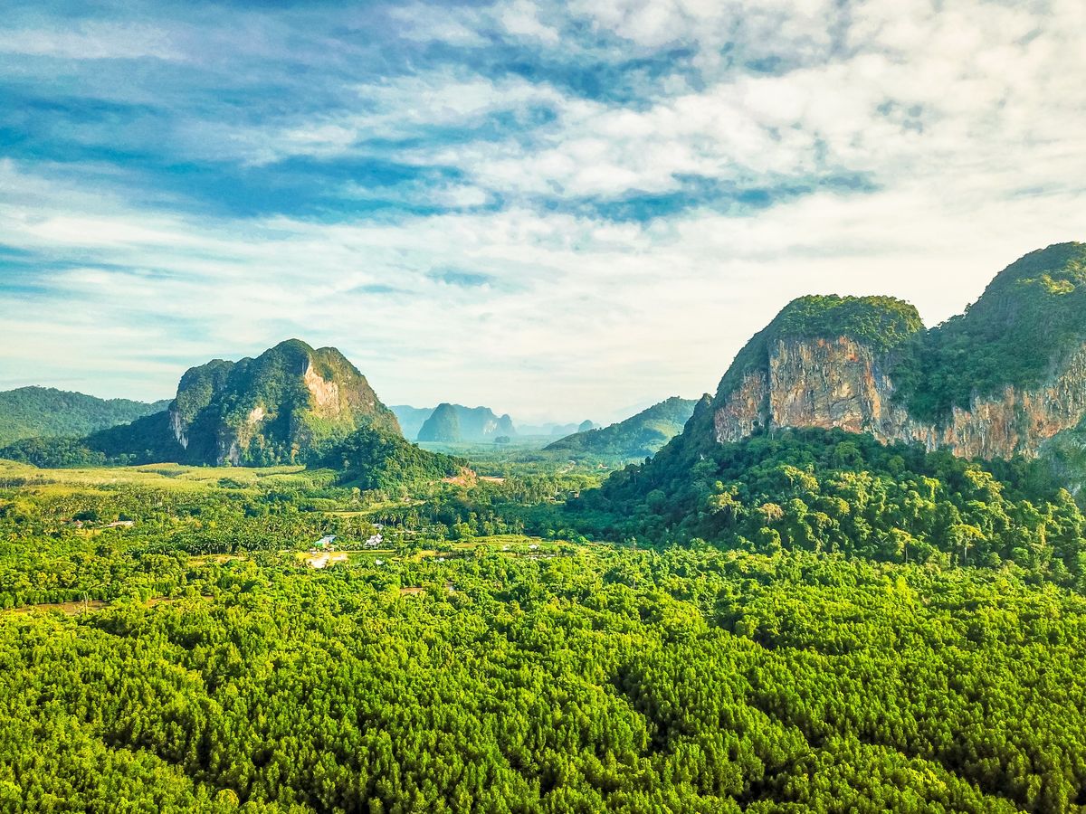 Letecký pohled na bujnou vegetaci a vápencové vrcholy v thajské provincii Krabi.