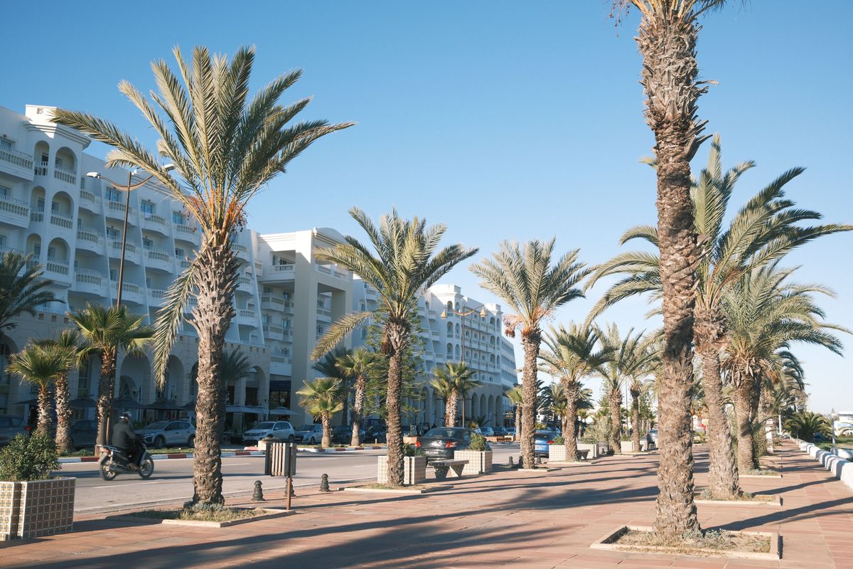 Palmy lemují promenádu před moderními hotely ve městě Monastir, Tunisko, pod jasnou modrou oblohou.