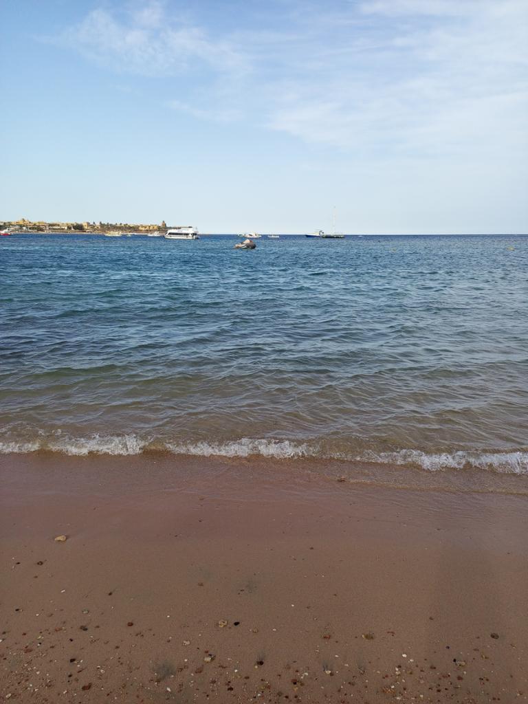 Perfektní 