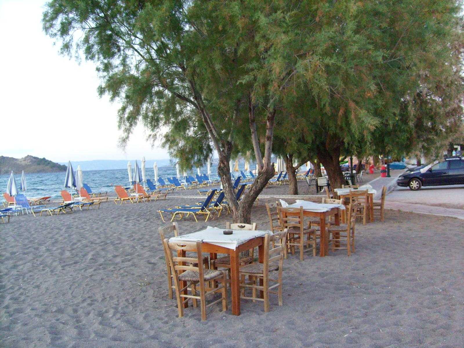 studia Maris