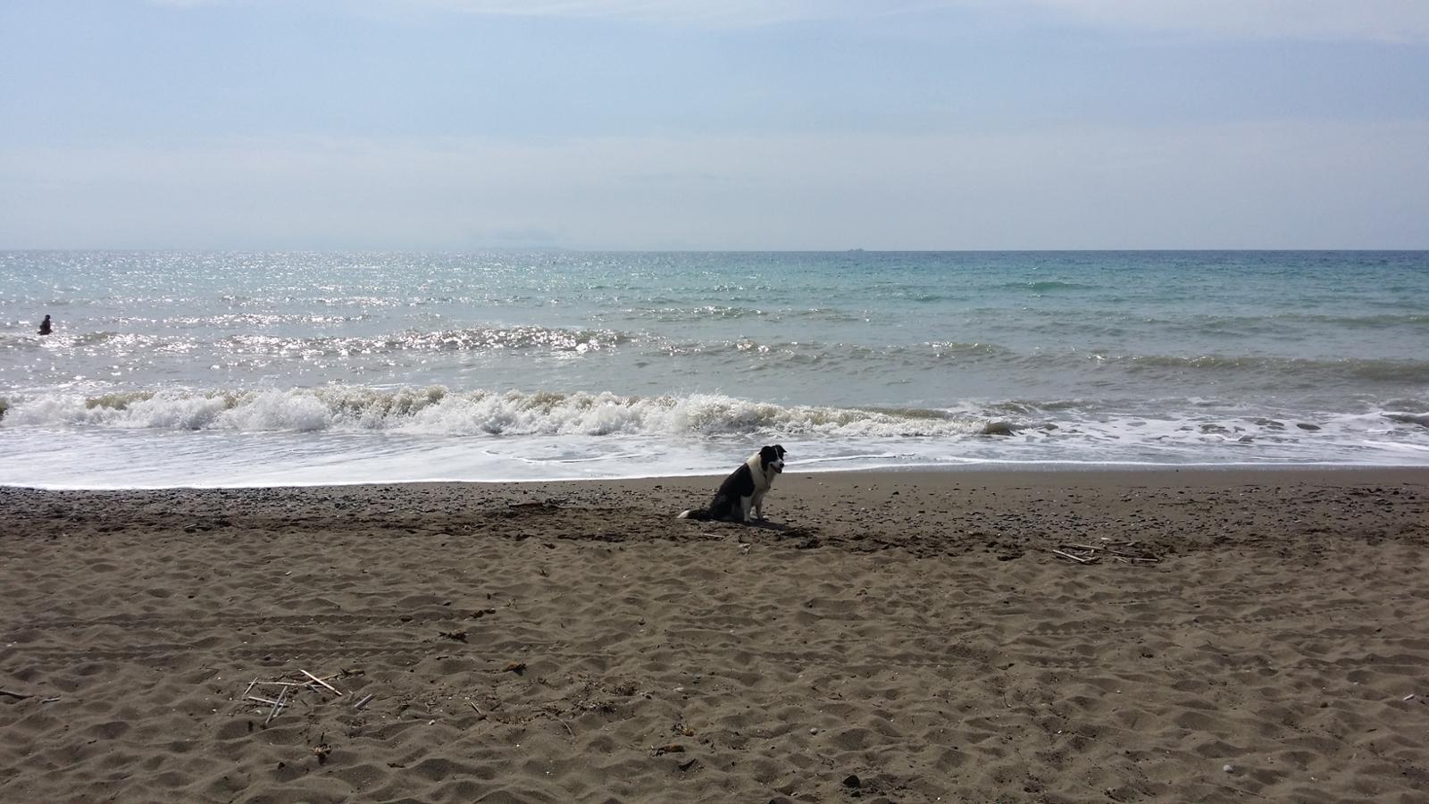 Marina di Bibbona