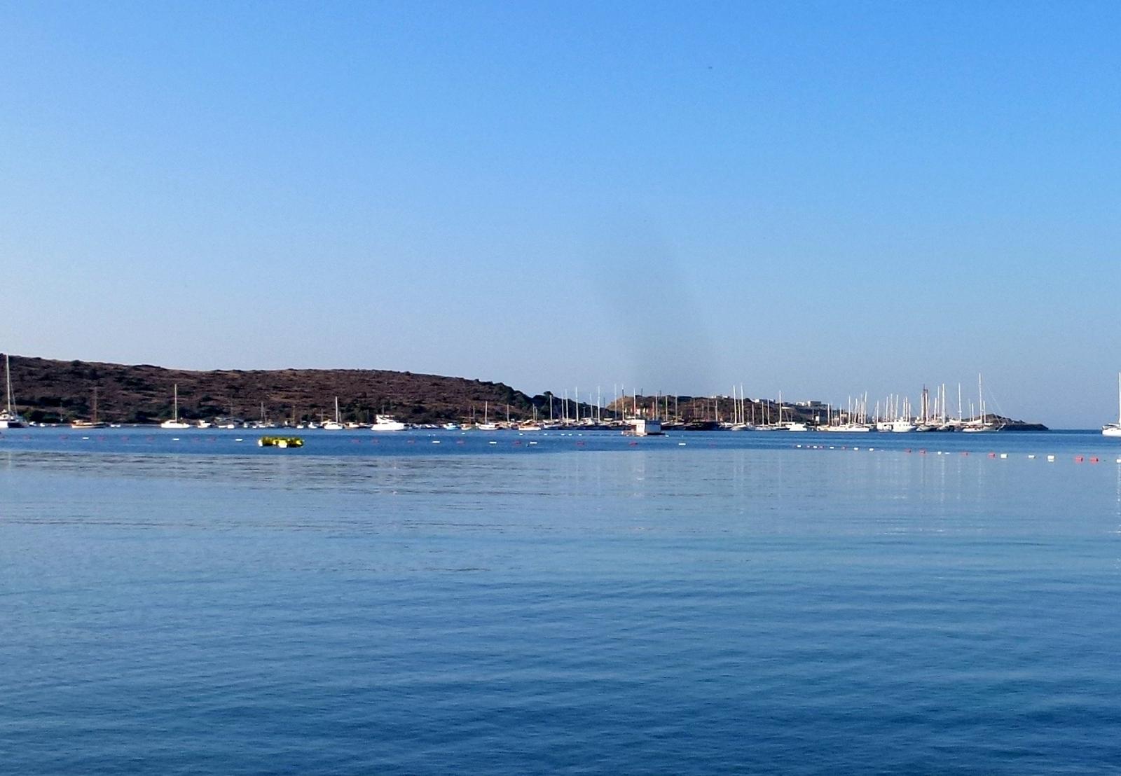 Věra 