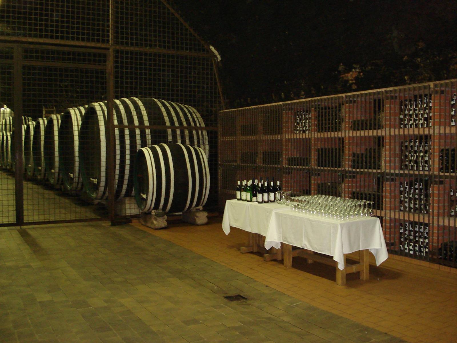Ubytování ve Znojmě Hotel N